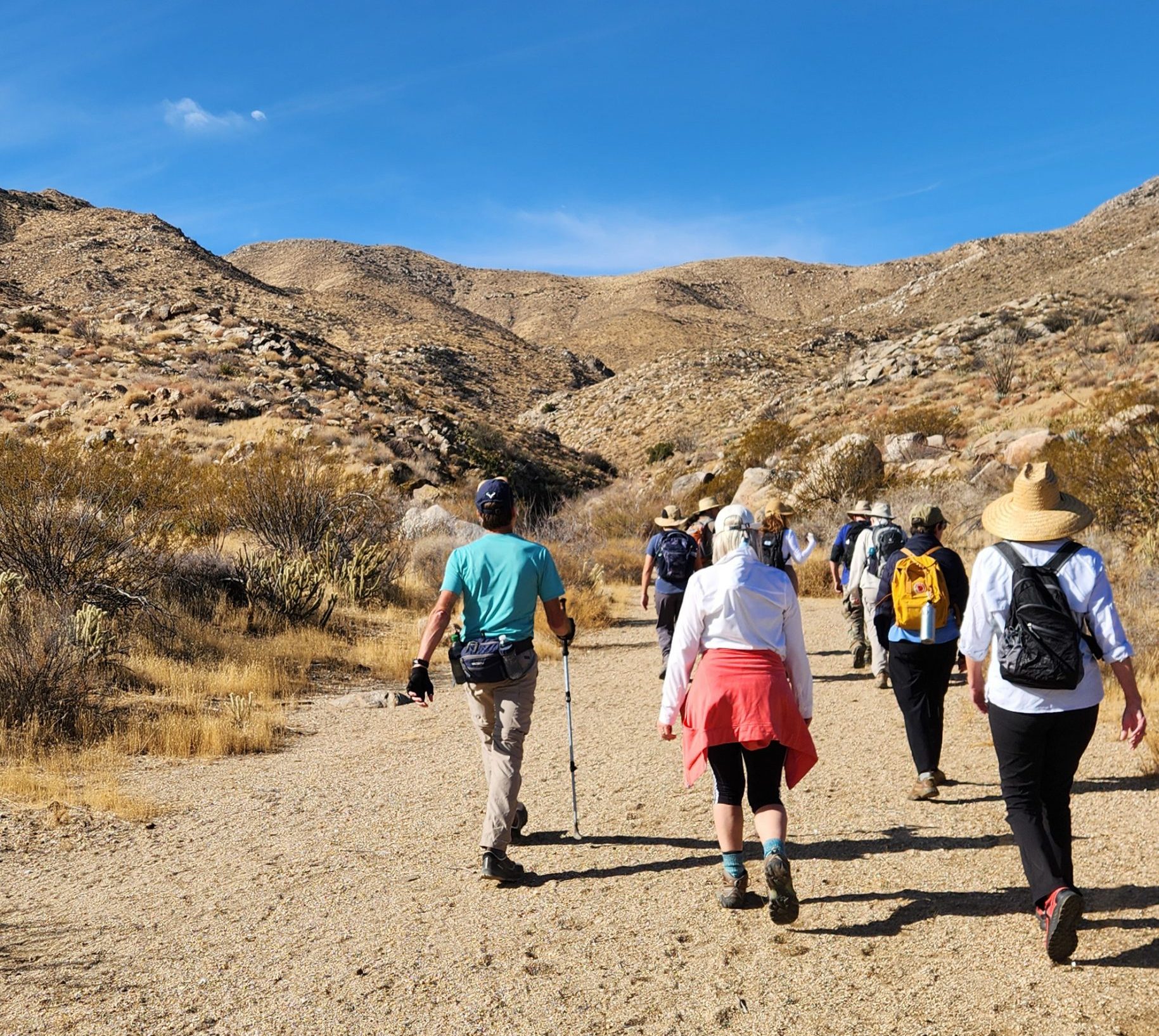 “chill hike” makes for fast friends at Anza Borrego State Park