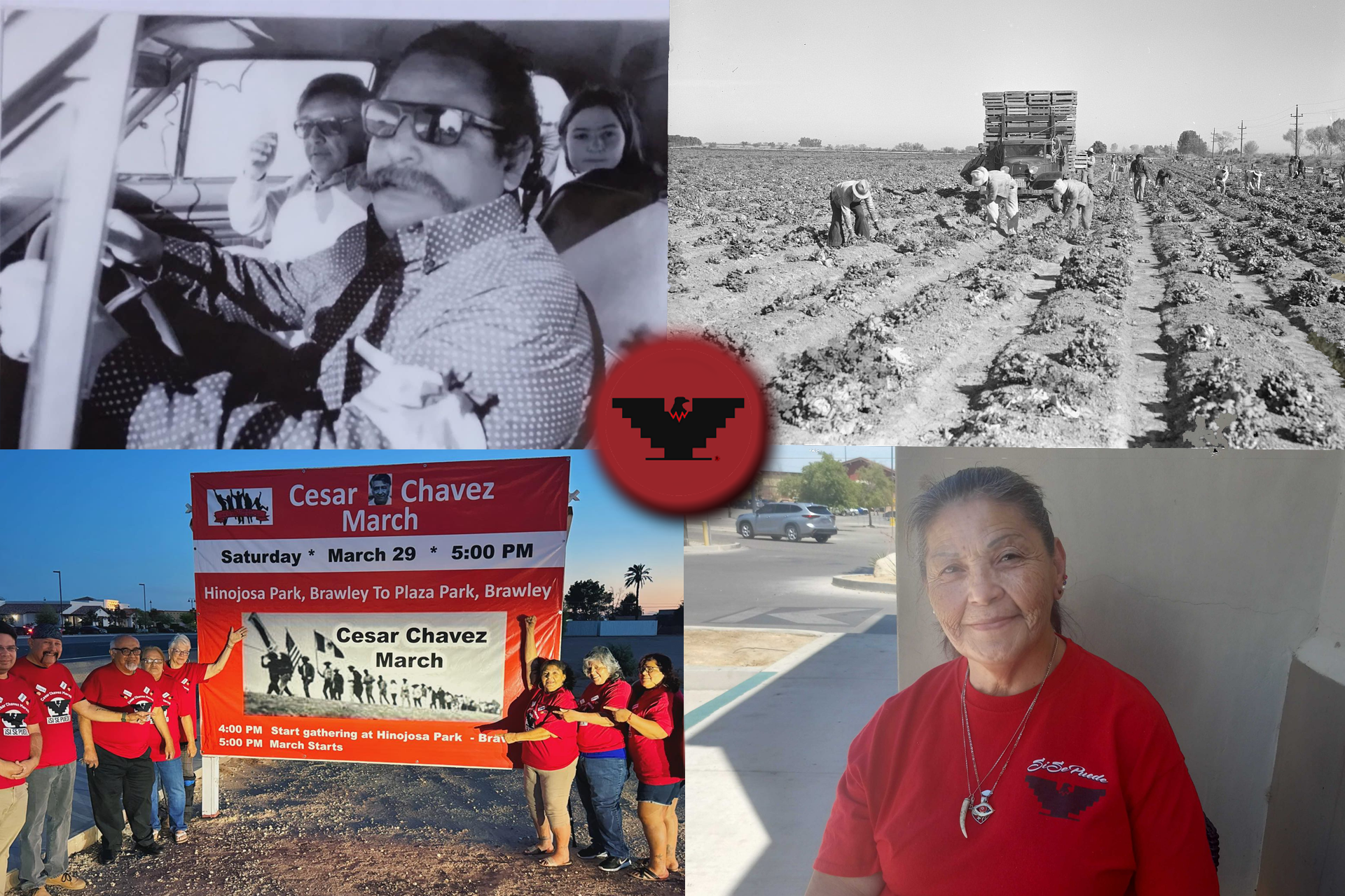 rediscovering the legacy of the farmworker’s movement